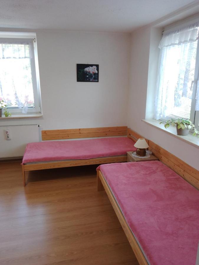 Apartman.Lara Decin Zewnętrze zdjęcie